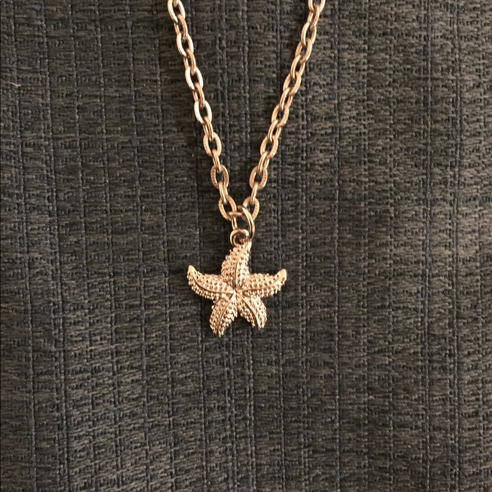 Sand dollar pendent on silver chain